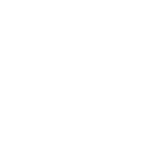 ARS Electronica Festival